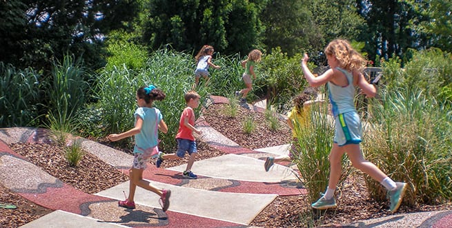 Atlanta Botanical Garden Summer Camp