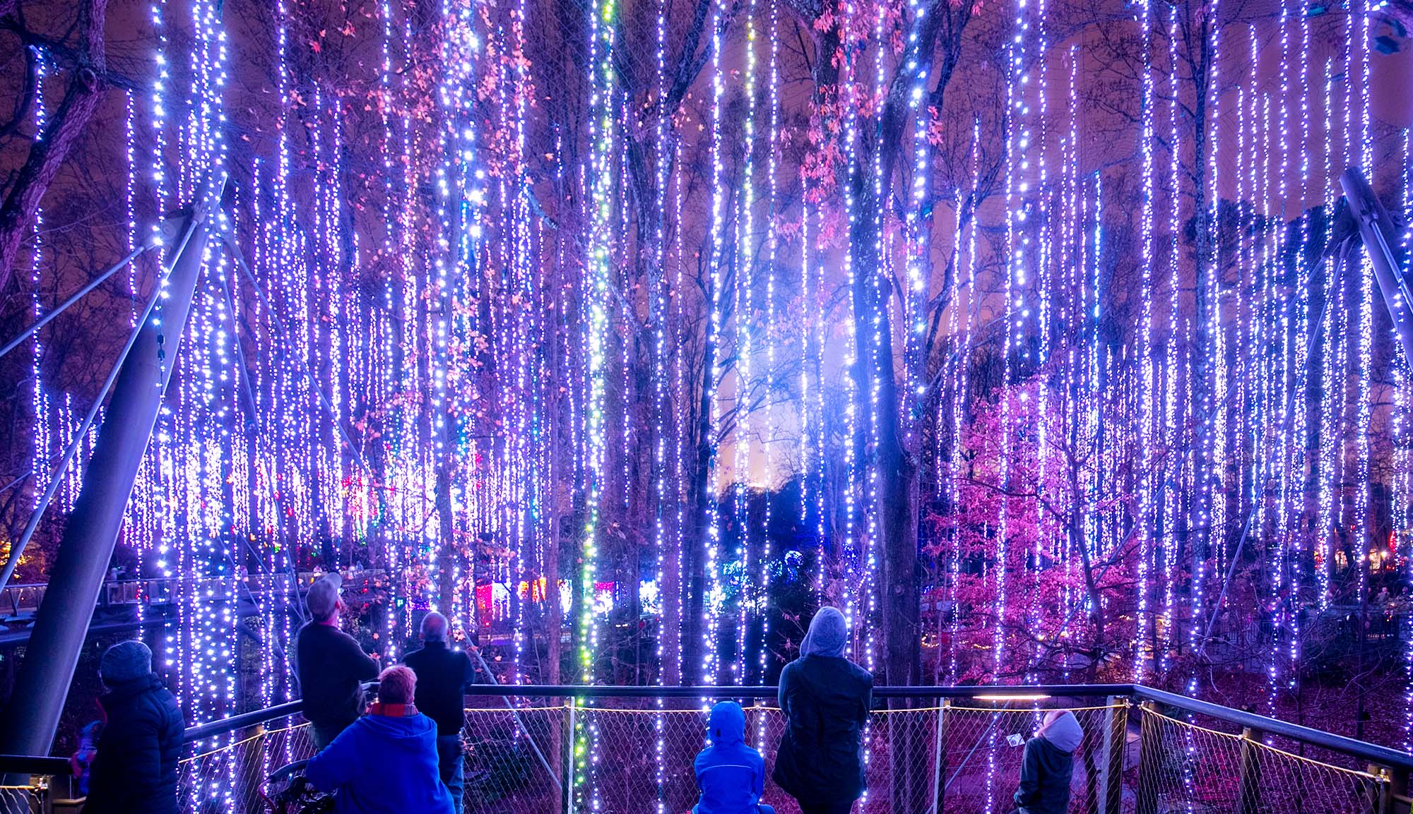 Atlanta Botanical Garden | Garden Lights, Holiday Nights presented by ...