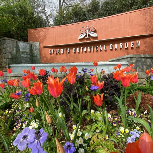 Atlanta Botanical Garden Botanical Gardens In Atlanta And